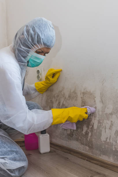 Best Industrial Mold Remediation  in Twin City, GA