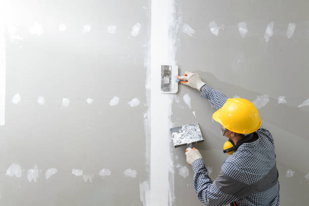 Best Crawl Space Mold Remediation  in Twin City, GA