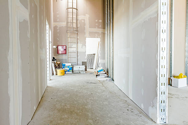 Best Attic Mold Removal  in Twin City, GA