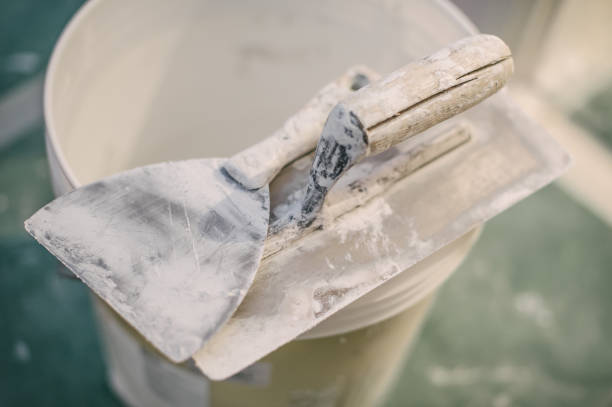 Best HVAC Mold Inspection and Cleaning  in Twin City, GA